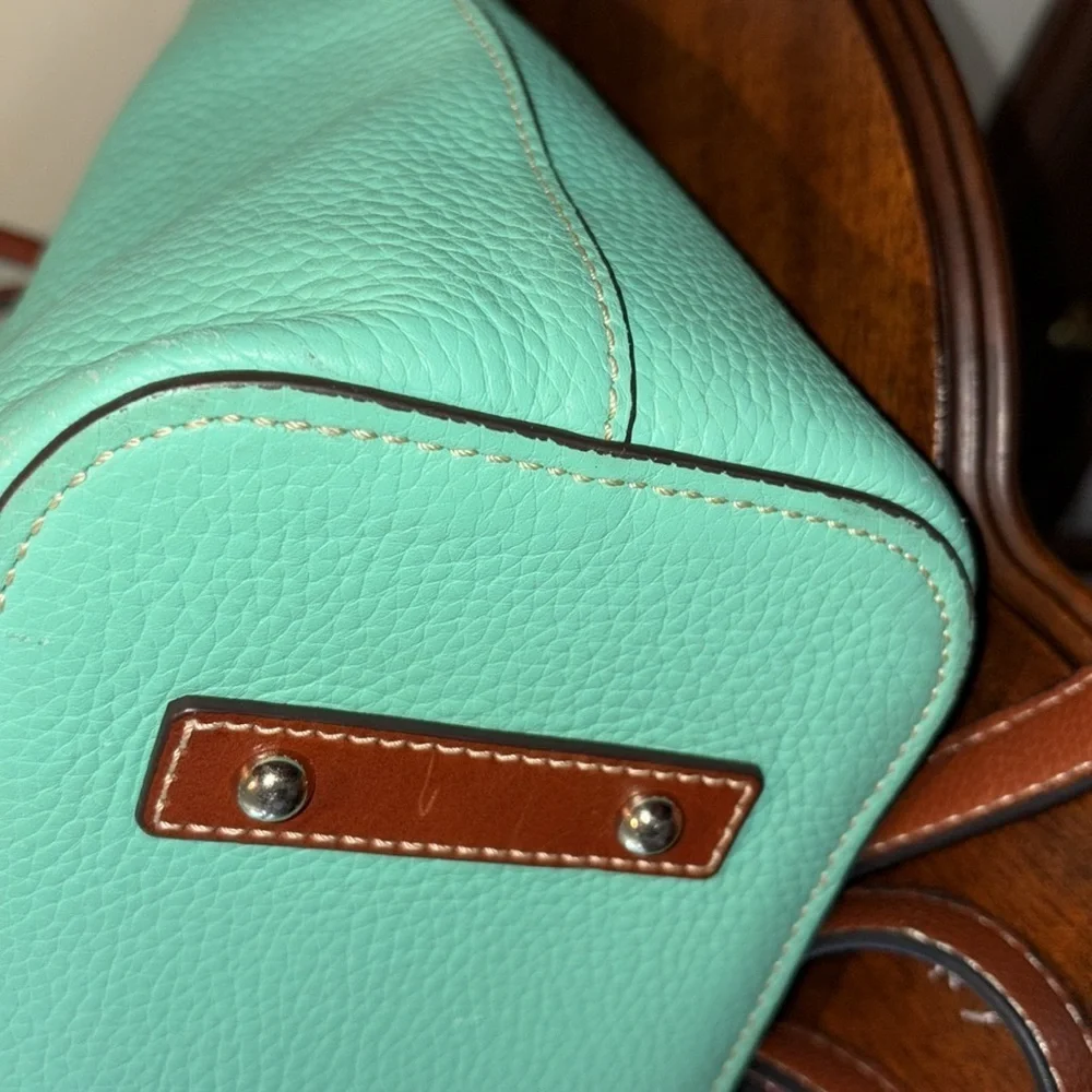 Dooney Bourke Bright mint satchel Crossbody /Shoulder bag Leather/brown trim